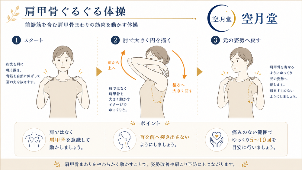 前鋸筋を含む肩甲骨周りの筋肉を動かす体操