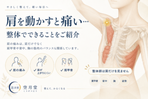 肩を動かすと痛い…整体でできることをご紹介｜空月堂